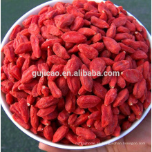 Baya orgánica certificada de Goji de las frutas secadas